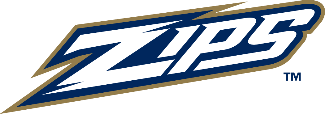 Akron Zips 2002-Pres Wordmark Logo v4 iron on transfers for T-shirts